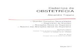 1 - Caderno de Obstetrícia - Conceitos e  AltGer 2011 2ª ed