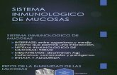 Sistema Inmunologico de Mucosas