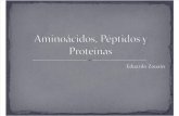 3- Aminoácidos y péptidos