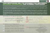 Infografía - Reforma Hacendaria y Social - GPPRI