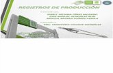 Seminario Registros de Producción - Entrega 4 (2).pptxqq