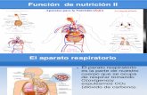 FUNCIÓN DE NUTRICIÓN II