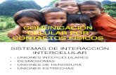 Comunicacion Celular Por Contactos Fisicos Io