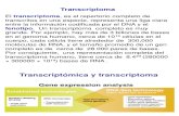 Proteoma y Transcriptoma 2014-1