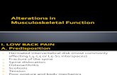 Musculoskeletal Function Presentation