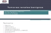 Tumores renales benignos.pdf