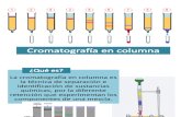 Cromatografía en columna (Exposición)