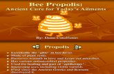Bee Propolis Presentation