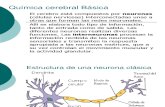 Química cerebral Básica