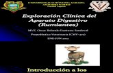Exploracion Clinica Ruminates