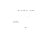 Lecciones de Calculo Variacional