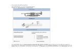 corneta instrumentacion