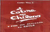 El Cobre es Chileno y debe ser Refinado en Chile / Carlos Tomic (1999)