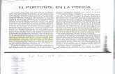 Perlongher. El portuñol en poesía en Tse Tse , 7-8, 2000