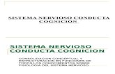 10-Sistema Nervioso y Conducta Completo Funcional