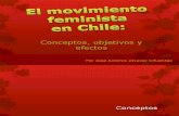 Movimiento Feminista en Chile, Conceptos, Objetivos y Efectos