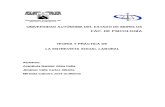 TEORIA Y PRÁCTICA DE LA ENTREVISTA SOCIAL -RESUMEN(ORIGINAL)