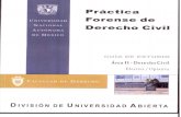 Practica Forense de Derecho Civil Area II-Derecho Civil