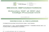 MEdios Impugnatorios Version 2013