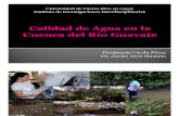 Calidad de Agua en la Cuenca del Río Guavate