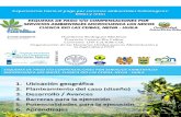 Compensación por servicios ambientales, microcuenca los Micos, Cuenca Ceibas, Neiva