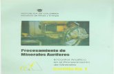 Procesamiento de Minerales Auriferos