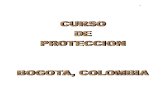 Curso de Proteccion, Colombia