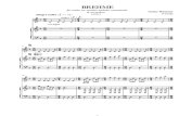T nº26 Hermosa Brehme dúo - acordeón y violín