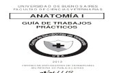 Gu�a Anato 1 NUEVA.pdf