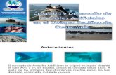Arrecifes Artificiales Guatemala