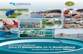 Estrategia Regional para el Desarrollo de la Acuicultura en los Paises del SICA  ERDAC .pdf