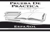 Prueba de Práctica_Español G5_1-24-11