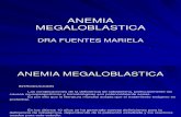 05 - Anemia Megaloca 2010[1]