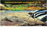Caracterización preliminar de la lepidopterofauna (insecta: rophalocera) presente en la reserva privada: refugio del oso de anteojos (Calvario –Meta), Colombia