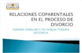 UPCo. Rel Coparentales Divorcio