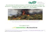 Danys ambientals causats pels incendis de Cortes de Pallars i Andilla