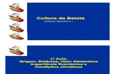 Cultura Da Batata1a AULA [Modo de Compatibilidade]