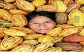 Cacao organico de Peru