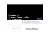 Control Estadístico de Procesos- Aplicaciones con Voyage 200