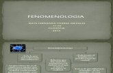 FENOMENOLOGIA - Correa -1103
