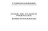Fisioterapia Guia Clase Pratica
