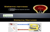 CN9-Sistema nervoso2