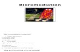 Biorem Presentation