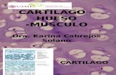 Clase 05 Cartilago-hueso-musculo 2012(1)