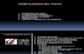 Aspectos Técnicos de la Vinificación en Tinto (1)