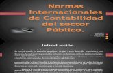 Normas Internacionales Powepointde ad Del Sector Publico