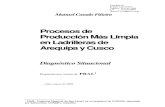 Produccion Mas Limpia_ladrilleras