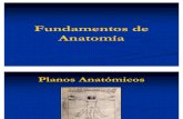 (00) Fundamentos de Anatomía