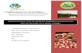 64625659 Manual de Cultivo Aeroponico