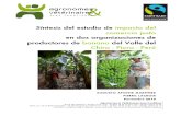 Síntesis del estudio de impacto del comercio justo en dos organizaciones de productores de banano del Valle del Chira - Perú